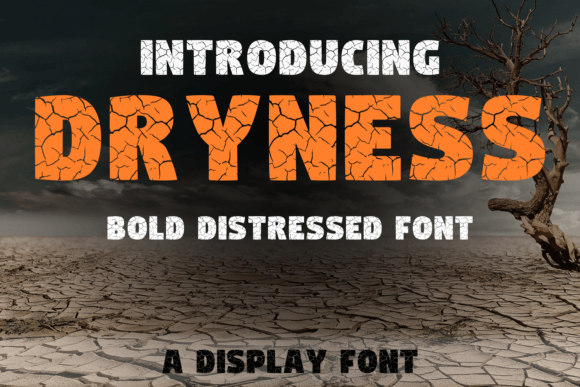 Dryness: A Distinctive Display Font for Digital Branding