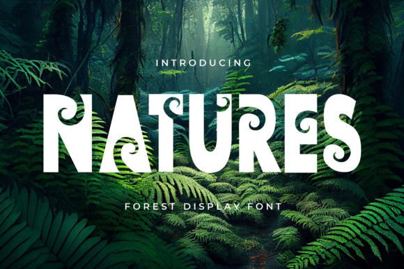Natures Display Font: A Thoughtful Choice for Digital Branding